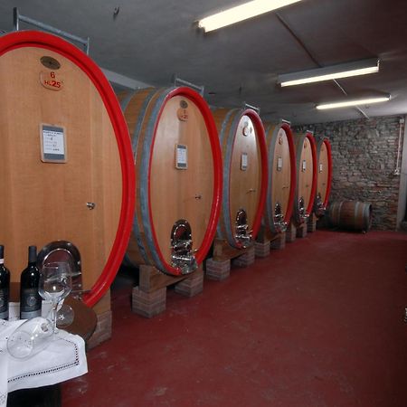 Agriturismo I Grappoli セッラルンガ・ダルバ エクステリア 写真