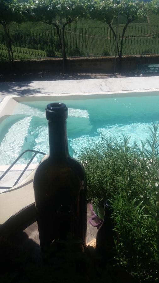 Agriturismo I Grappoli セッラルンガ・ダルバ エクステリア 写真