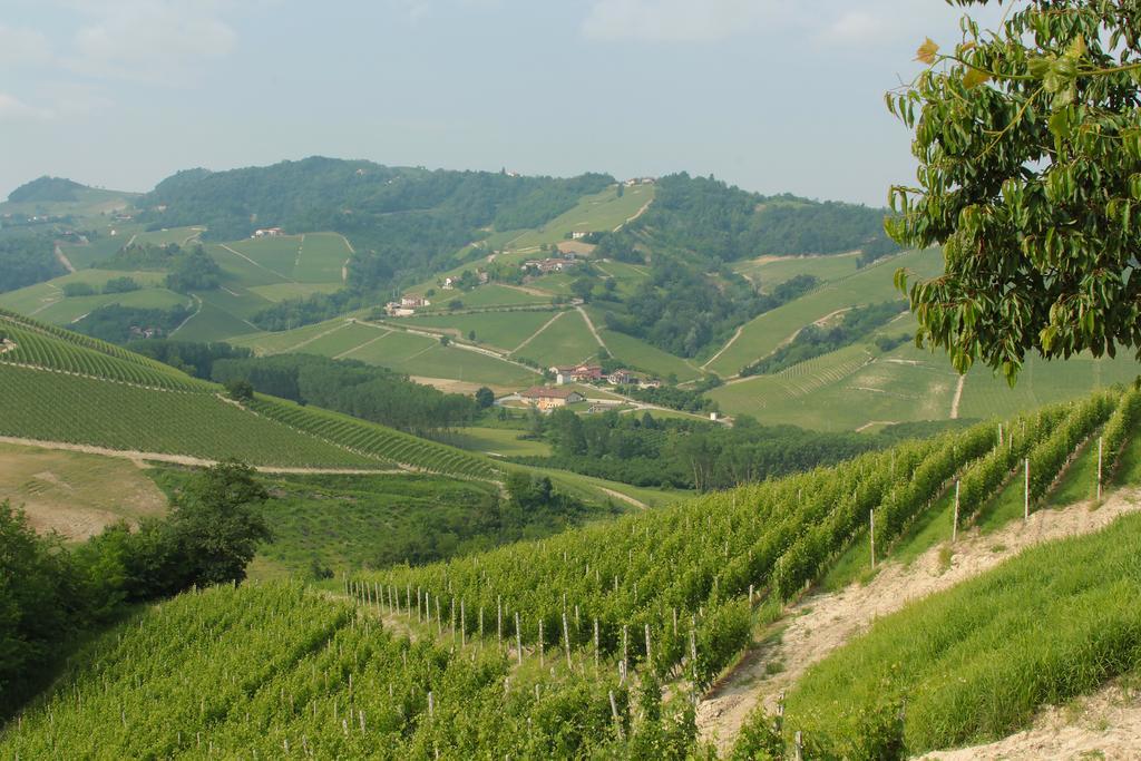 Agriturismo I Grappoli セッラルンガ・ダルバ 部屋 写真