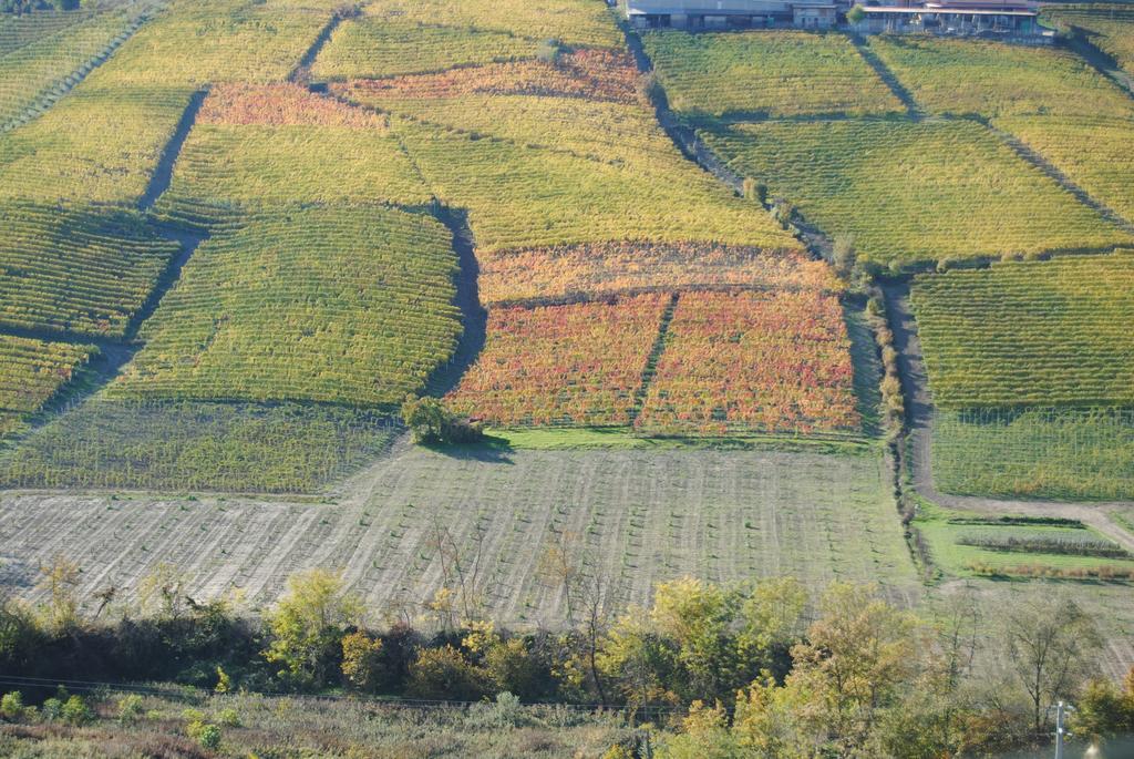 Agriturismo I Grappoli セッラルンガ・ダルバ エクステリア 写真