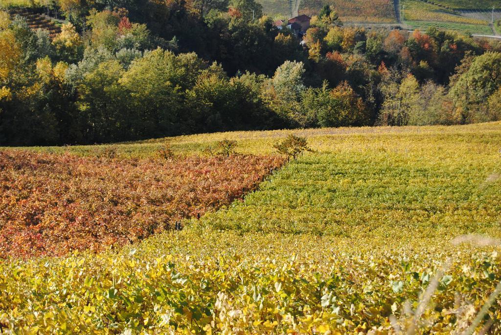 Agriturismo I Grappoli セッラルンガ・ダルバ エクステリア 写真