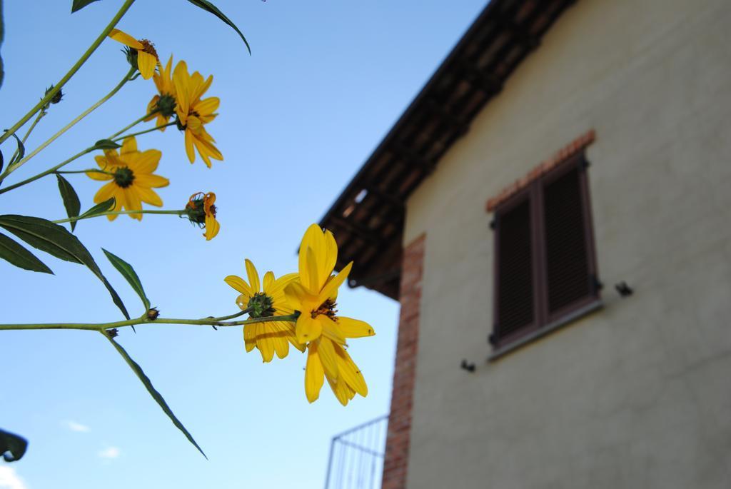 Agriturismo I Grappoli セッラルンガ・ダルバ エクステリア 写真