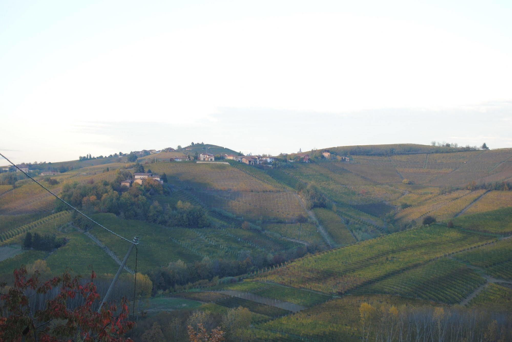 Agriturismo I Grappoli セッラルンガ・ダルバ エクステリア 写真