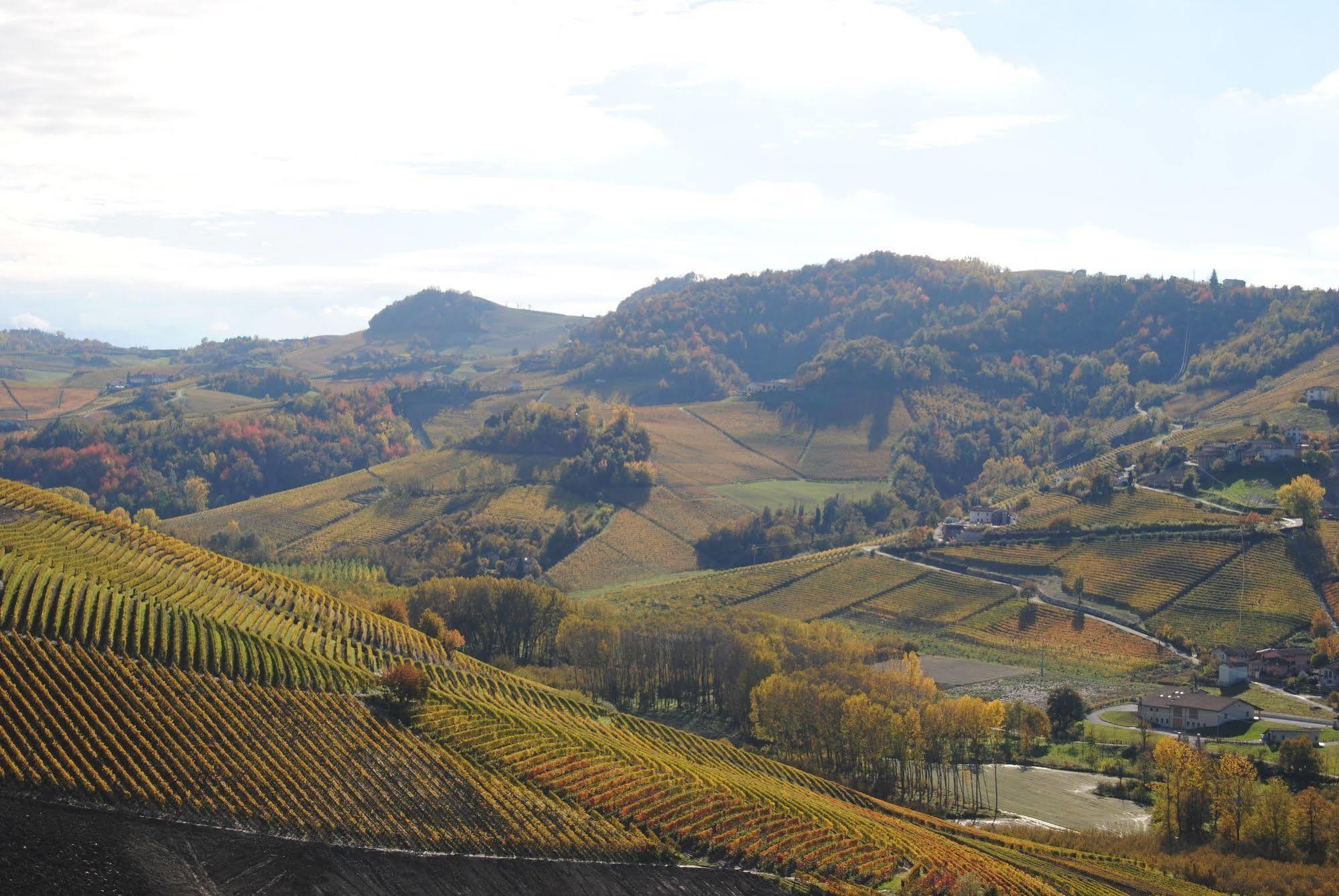 Agriturismo I Grappoli セッラルンガ・ダルバ エクステリア 写真